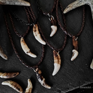Tand talismannen, wilde canis coyote, ketting van natuurlijk been op pu-leer, cadeau-ideeën, hoektand van 3 cm, koord van 45 cm + 5 cm ketting, stevigheid
