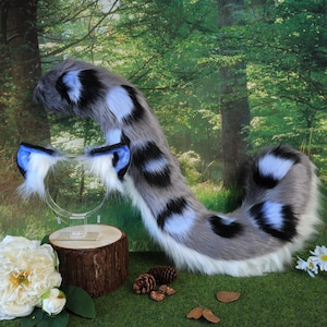 May include: A furry costume tail and ear set. The tail is grey, black, and light blue, with a curved shape. The ears are attached to a clear headband, with blue and white accents. The set is designed to resemble an animal.