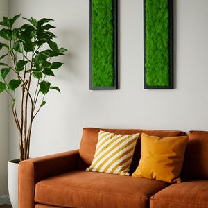 Preserved Moss Wall Art Set: Biophilic Green Wall Decor