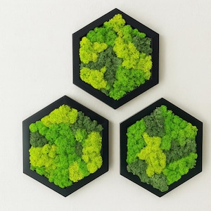 Hexagon Moss Wall Art – Natural Wooden Moss Panel – Honeycomb Wall Decor – Eco-Friendly Home Decoration – Botanical Wall Hanging