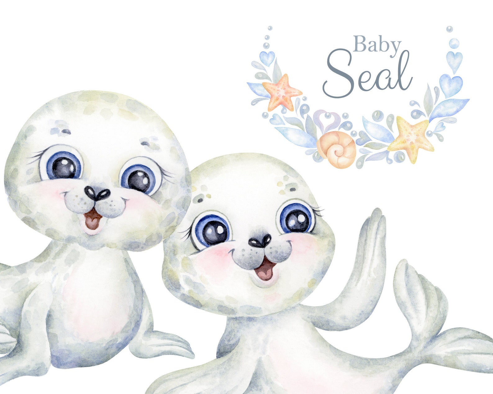 The elephant seal текст. The second монета. Approved seal. The elephant seal 4 класс. Little seal перевод.