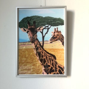 bilder Giraffe