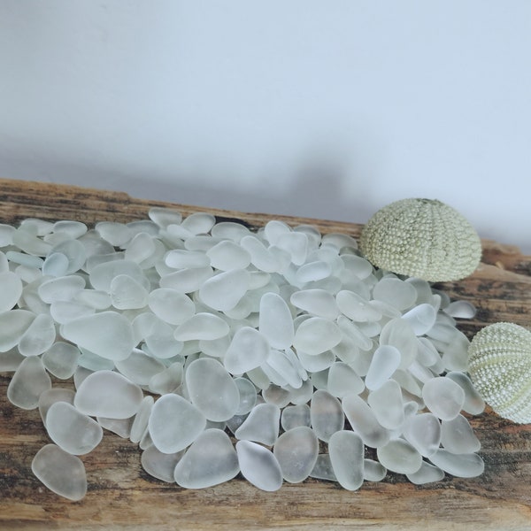 100 polished pieces of small white seaglass, small pieces of naturally tumbled seaglass gift bags