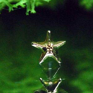 Anatometal 18k Yellow Gold Threadless Sea Star End - Starfish, ocean, push fit attachment