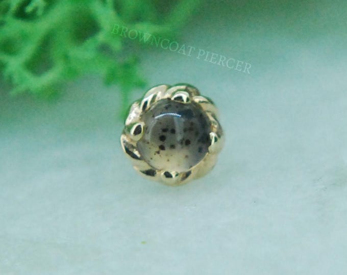 14k Yellow Gold "Basket" threadless attachment - Montana Agate - Push fit end