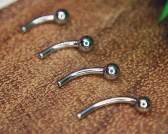 Basic Titanium Threadless Curved Barbell