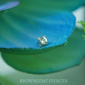 Anatometal 18k Weißgold Zia End - Facettierter Peridot - push Fit 2 mm