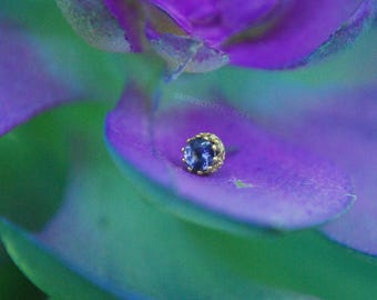 Anatometal 18k Yellow Gold Threadless Prong Set King End - Genuine Iolite - Push fit
