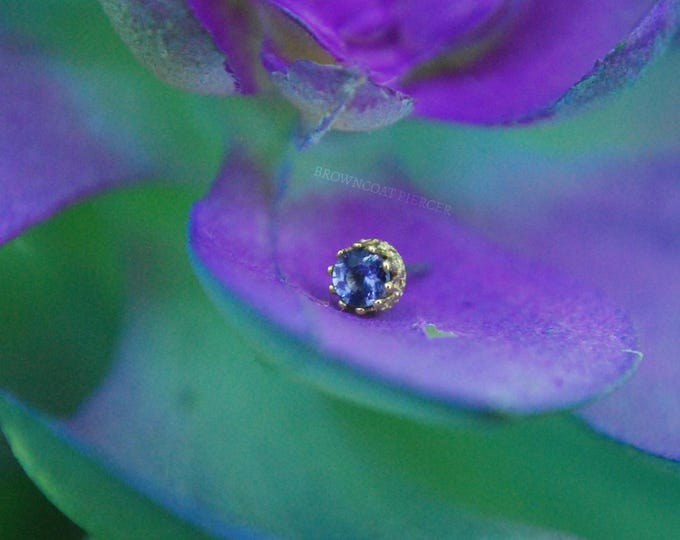 Anatometal 18k Yellow Gold Threadless Prong Set King End - Genuine Iolite - Push fit