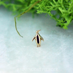 May include: A gold-coloured penguin charm, a small, detailed figurine of a penguin, ideal for jewellery making or adding a whimsical touch to a project.