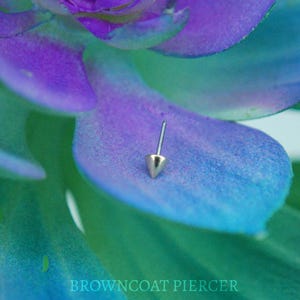 May include: A small, silver-colored piercing stud with a conical end. The stud is set against a backdrop of purple and blue plant leaves. The text "BROWNCOAT PIERCER" is visible at the bottom of the image.