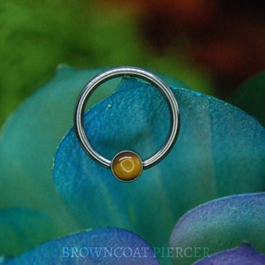 Anillos de cuentas cautivas de titanio BCR - Ojo de tigre natural - Anillo con cierre de bola