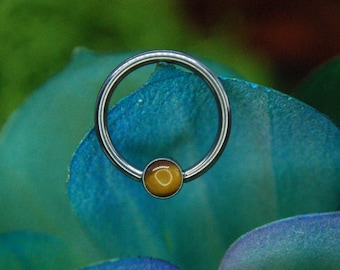 Titanium BCR - Natural Tigers Eye - Captive Bead Rings, Ball Closure Ring