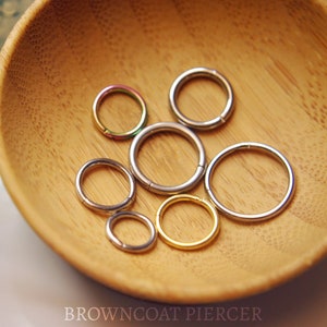 Anello a segmento con cerniera / Clicker - Cerchi in titanio - Setto, Daith, Orecchino, Elica, Narice, ecc. 20 g, 18 g, 16 g, 14 g