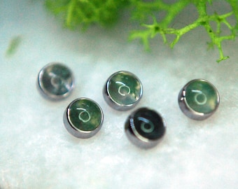 Internally Threaded Implant Grade Titanium Moss Agate Cabochon Bezel Set Ends 16g / 1.2mm