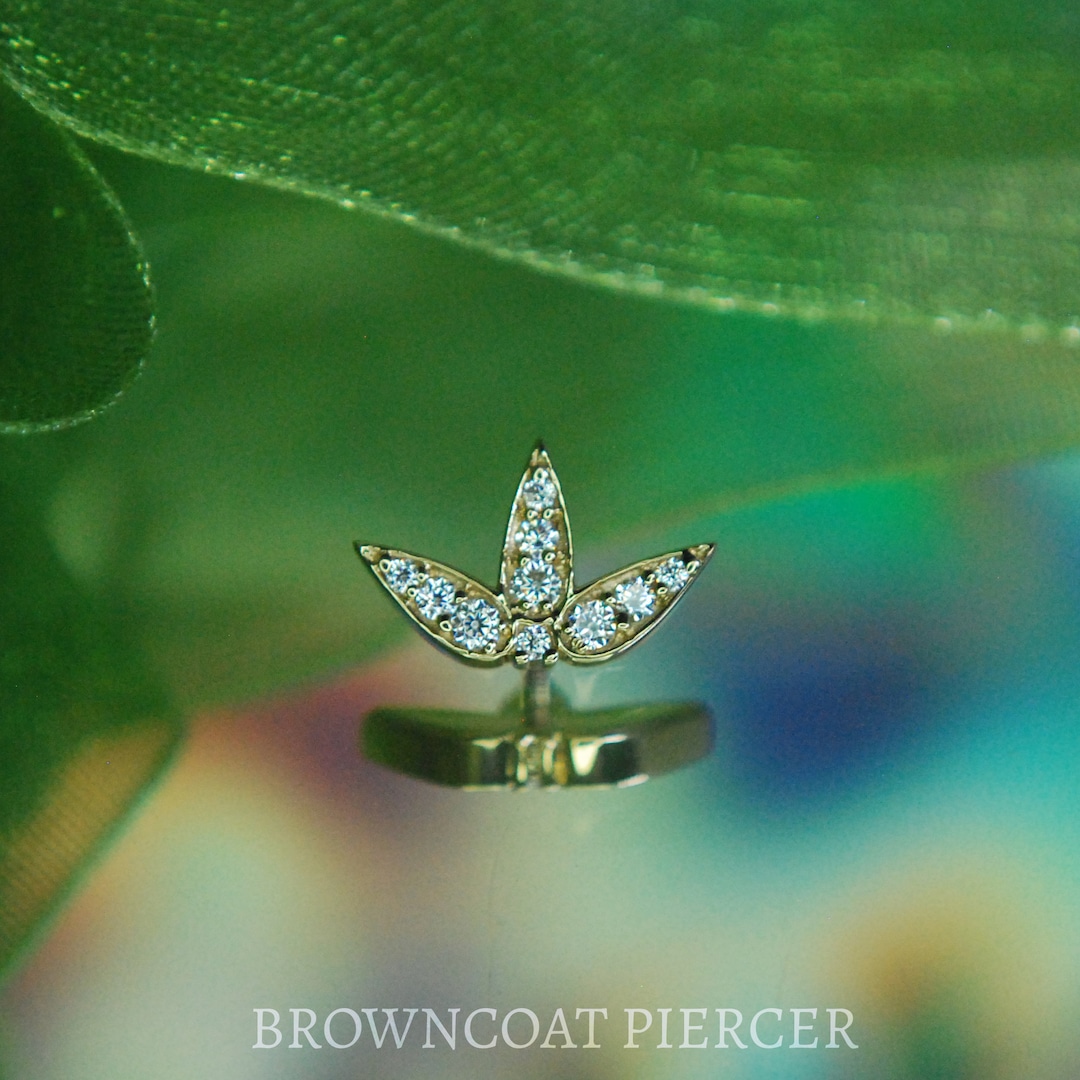 BVLA 14k Yellow Gold 