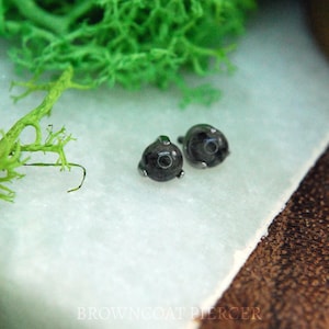 Internally Threaded Claw Set  Tourmalated Quartz Gem Ball End, Body Jewellery, prong set, 16ga / 1.2mm, 4mm