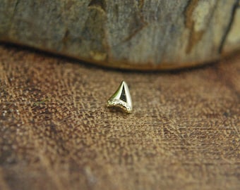 14kt Yellow Gold Megalodon Tooth  - Threadless End - Mini Shark Tooth