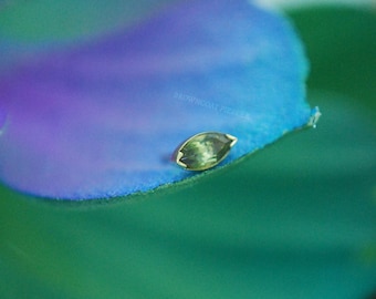 18k Yellow Gold Threadless Bezel Set Marquise End - Green Tourmaline - Anatometal