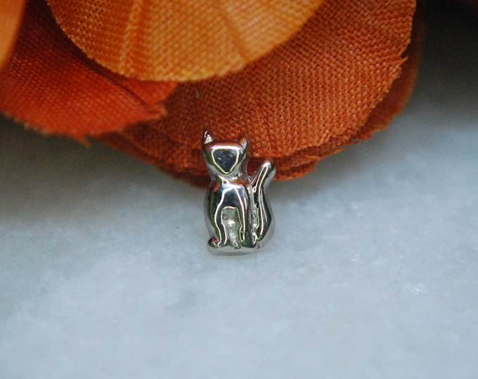 Solid 14k White Gold Cat Threadless End - Salem -  push fit attachment