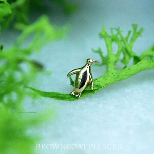 Solid 14k Yellow Gold Penguin End Threadless End - Push Fit attachment
