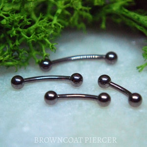 Basic Titanium Internally Threaded Curved Barbell