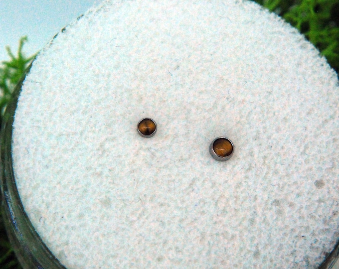Titanium Tiger's Eye Ends - Threadless or Internally Threaded - Natural Stone Cabochon - Implant Grade, Mirror polish, push fit, JUNIPURR