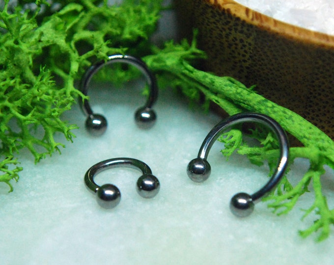 Basic Titanium Internally Threaded Circular Barbell