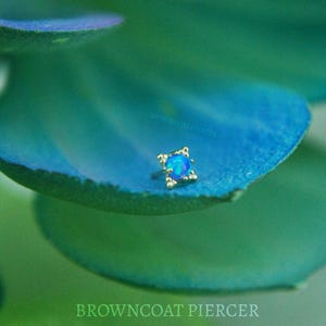 Anatomische 18k Gelbgold Fadenlose Zia End - Cabochon Blau Opal - push Fit 2 mm