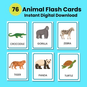 Animal Flash Cards | Instant Digital Download | Safari Animals | Aquatic Animals | Forest Animals | Toddler Flash Cards | Montessori