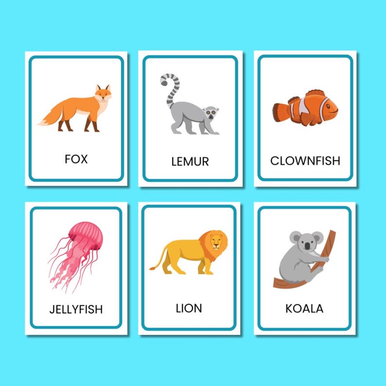 Pu&ograve; includere: Sei flashcard colorate con illustrazioni di diversi animali e i loro nomi: volpe, lemure, pesce pagliaccio, medusa, leone e koala.