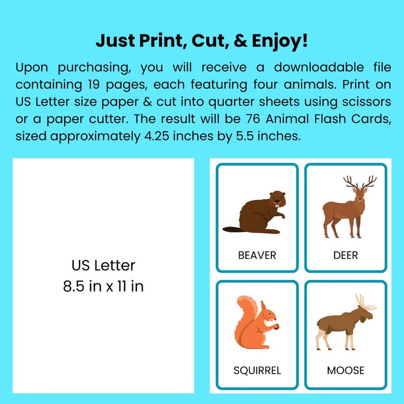 Pu&ograve; includere: Carte flash stampabili con quattro animali: un castoro, un cervo, uno scoiattolo e un alce. Le carte sono progettate per essere tagliate da carta di formato US Letter, con un risultato di 76 carte che misurano 4,25 pollici per 5,5 pollici.
