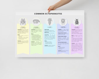 Poster of Common Ectoparasites - Parasitology, Parasites, Ticks, Fleas, Louse, Mites, Learning aid