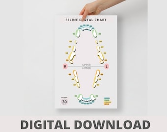 DIGITAL Feline Dental Chart - Veterinary Day Gift Idea for Vets, Vet Nurses, Vet Techs, Receptionist, Student, Assistant