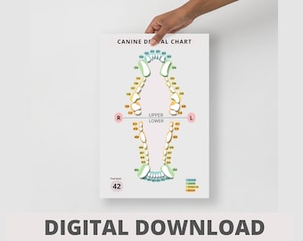DIGITAL Canine Dental Chart - Veterinary Day Gift Idea for Vets, Vet Nurses, Vet Techs, Receptionist, Student, Assistant