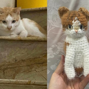 Chat au crochet personnalisé, animaux de compagnie personnalisés Amigurumi, souvenir d'animal de compagnie au crochet, chat qui se ressemble, chat personnalisé, cadeau pour les amoureux des chats, chat en peluche