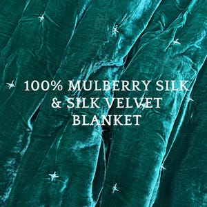 Pure Mulberry Silk Velvet Throw Blanket Quilt, Velvet Spread Luxury Silk Velvet Bedding, Housewarming Gift, Christmas Gift, Custom Available