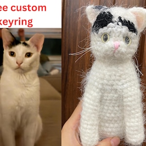 Peluche personnalisée chat, peluche chat personnalisée, chat au crochet personnalisé, peluche personnalisée pour animal de compagnie, animal de compagnie en peluche personnalisé, cadeau chat personnalisé, cadeau de Noël personnalisé