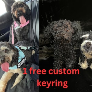 Custom Dog Plush, Free Custom Keyring, Custom Dog Plushie, Custom Crochet Dog, Custom Pet Plush, Personalized Dog, Dog Memorial Gift