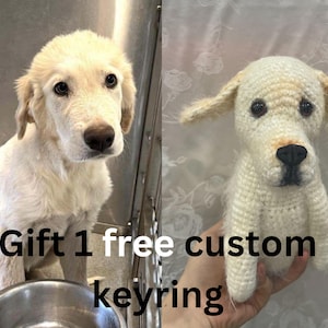 Custom Stuffed Dog (Gift 1 free keyring),Custom Dog Plushie, Custom Crochet Dog, Custom Pet Plush, Personalized Dog Gift, Custom Stuffed Pet