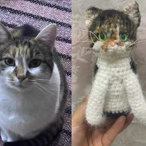 Chat au crochet personnalisé, chat en peluche personnalisé, commémoratif de chat personnalisé, chat qui se ressemble, chat personnalisé, cadeau pour amoureux des chats, animal de compagnie en peluche personnalisé