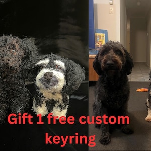 Custom Dog Plush, Get 1 Free Custom Keyring, Custom Dog Plushie, Custom Crochet Dog, Custom Pet Plush, Personalized Dog, Dog Memorial Gift
