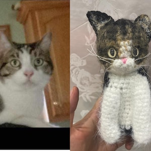 Peluche chat personnalisée, chat au crochet personnalisé, chat en peluche personnalisé, peluche chat personnalisée, cadeau commémoratif chat, peluche personnalisée, cadeau pour amoureux des chats