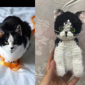 Peluche chat personnalisée, chat au crochet personnalisé, chat en peluche personnalisé, peluche chat personnalisée, cadeau commémoratif chat, peluche personnalisée, cadeau pour amoureux des chats
