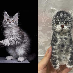 Peluche personnalisée chat, peluche chat personnalisée, chat au crochet personnalisé, peluche personnalisée pour animal de compagnie, animal de compagnie en peluche personnalisé, cadeau chat personnalisé, cadeau pour amoureux des chats
