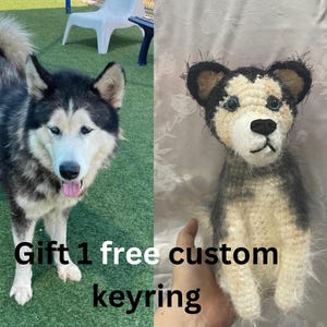 Dog Memorial Gift, Custom Dog Plushie, Custom Crochet Dog, Custom Pet Plush, Personalized Dog Gift, Gift For Dog Lover, Custom Stuffed Pet