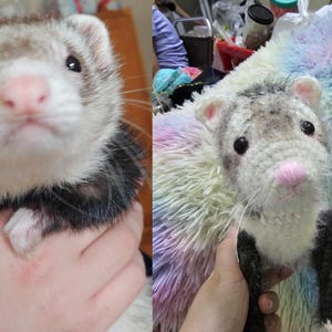 Custom Pet Plushie, Custom Crochet Pet, Custom Pet Plush, Personalized Pet Gift,, Custom Stuffed Pet, Pet Memorial Gift, Custom Animal Plush