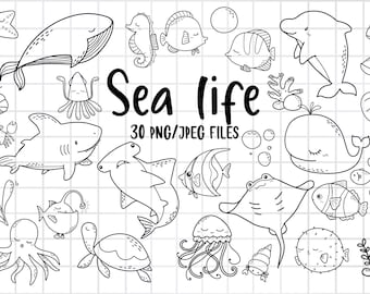 Clipart de vida marinha, animal do oceano, marinho, submarino, aquário, esboço Doodle, download de PNG/conjunto de clipart digital para impressão/uso comercial