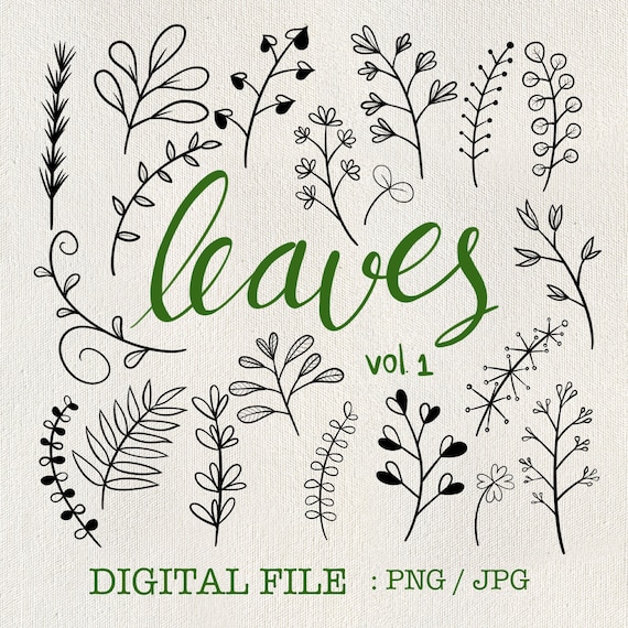 Leaves Hand Draw Clipart Black and White Leaves / Herb Line | Etsy