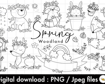 Spring Woodland Animals Clipart, Floral Animal, Wild Cute animal, outline Doodle animal, PNG Download, printable digital clipart set